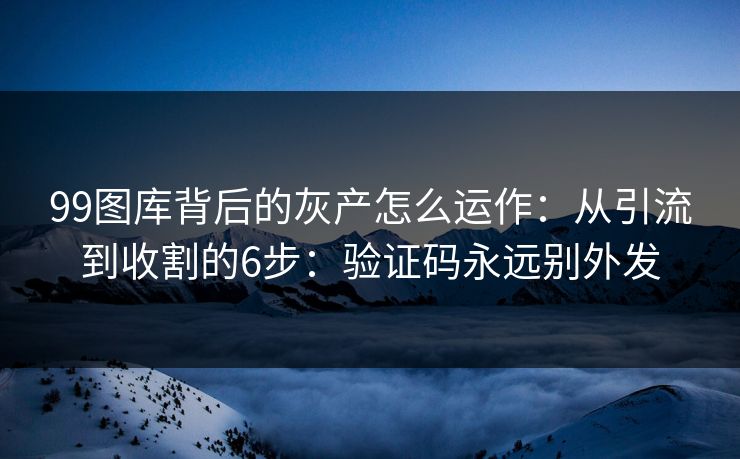 99图库背后的灰产怎么运作：从引流到收割的6步：验证码永远别外发