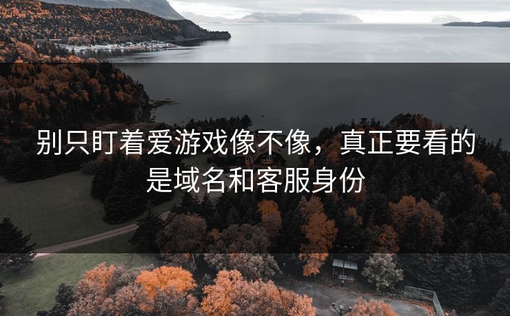 别只盯着爱游戏像不像，真正要看的是域名和客服身份