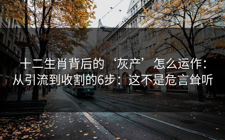 十二生肖背后的‘灰产’怎么运作：从引流到收割的6步：这不是危言耸听