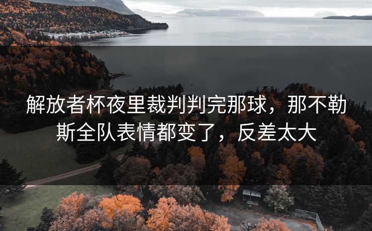 解放者杯夜里裁判判完那球，那不勒斯全队表情都变了，反差太大